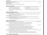 Condensed Resume Template Working Wildcat Creating Well Crafted Resumes the orion