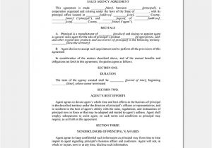 Conditional Contract Template Conditional Sale Agreement 17 Samples Examples Templates