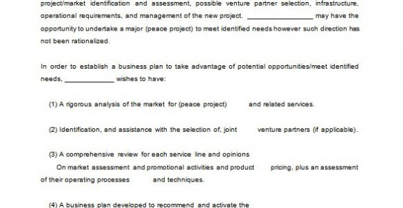 Consultancy Proposal Template Doc Consulting Proposal Template 16 Free Sample Example