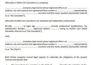 Consultation Contract Template 9 Sample Consultant Agreements Word Pdf