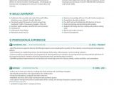 Contemporary Resume Templates Resume Template Johnny Appleseed Modern Resume Template