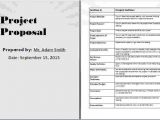 Content Creation Proposal Template 8 Project Proposal Template Word Timeline Template