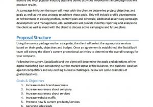 Content Marketing Proposal Template Proposal Templates 140 Free Word Pdf format Download