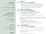 Contoh Resume Professional Contoh Resume Terbaik Lengkap Dan Terkini Resume Koleksi
