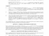 Contract for Provision Of Services Template China Cooperation Agreement for Provision Of Services Via