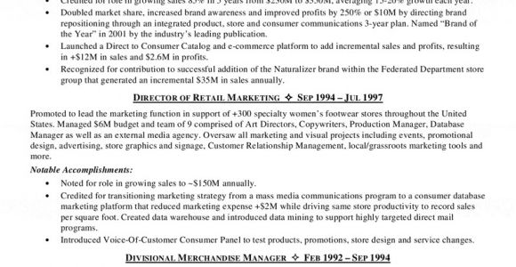 Coo Resume Templates Coo Chief Operating Officer Resume