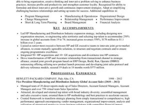 Coo Resume Templates Resume Samples Best Resume Writing Services Hire