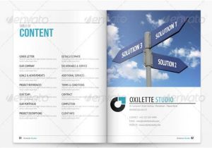 Cool Proposal Templates 20 Cool Indesign Business Proposal Templates Desiznworld