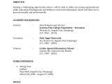 Copy Of A Basic Resume Resume Sample