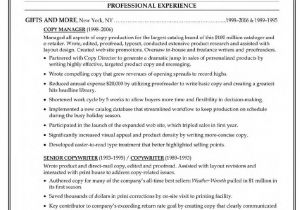 Copy Of A Blank Resume Resume format Copy Of A Resume form Free