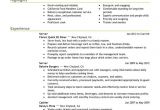 Copyable Resume Templates Fast Food Server Resume Examples Free to Try today