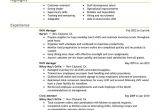 Copyable Resume Templates Unforgettable Shift Manager Resume Examples to Stand Out