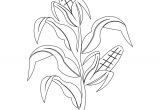 Corn Stalk Template Corn Stalk Coloring Pages