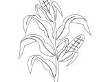 Corn Stalk Template Corn Stalk Coloring Pages
