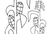 Corn Stalk Template Corn Stalk Coloring Sheet Coloring Page