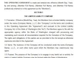 Corp to Corp Contract Template Operating Agreement 11 Free Pdf Google Doc Apple