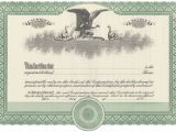Corporate Stock Certificates Template Free Blank Stock Certificate Free Printable Documents