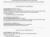 Could We Create A Basic Undergrad Resume College Student Resume Example