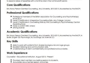 Counselling Contract Template Counsellor Cv Sample Myperfectcv