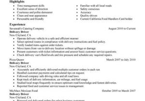 Courier Driver Resume Sample Best Restaurant Bar Delivery Driver Resume Example