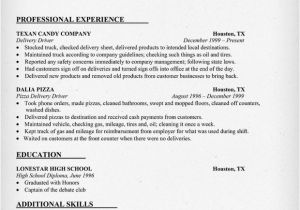 Courier Driver Resume Sample Create A Document Word Office Support Resume for Car