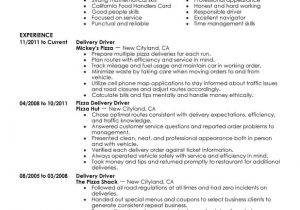 Courier Driver Resume Sample Pizza Delivery Drivers Resume Examples Created by Pros