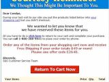 Courtesy Reminder Email Template 14 Tips for Cart Recovery 10 Emails Deconstructed