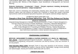 Cover Letter Analytical Skills Analytical Skills Resume the Best Resume
