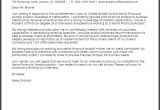 Cover Letter Analytical Skills Senior Financial Analyst Cover Letter Sample Cover