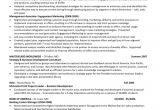 Cover Letter Examples Tamu Mccombs Resume Template Health Symptoms and Cure Com