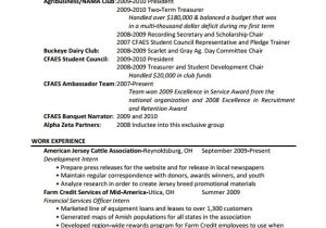 Cover Letter Examples Tamu Tamu Resume Template Project Scope Template