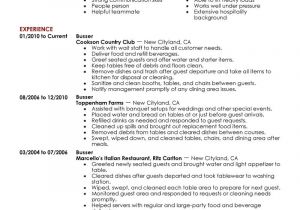Cover Letter for Busser Example Resume Example Cover Letter Of A Busser