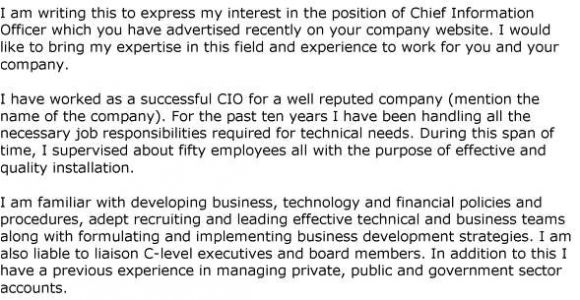 Cover Letter for Cio Position Cio Cover Letter Experience Resumes