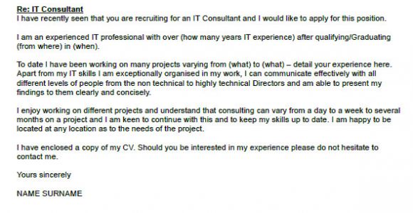 Cover Letter for It Consultant Write A Well organized Essay Instructables Writing