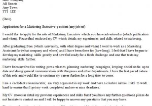 Cover Letter for Sales and Marketing Position Marketing Executive Cover Letter Example Icover org Uk