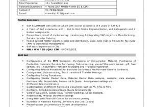 Cover Letter for Sap Abap Consultant 44 Cover Letter for Sap Abap Consultant Curriculum Vitae