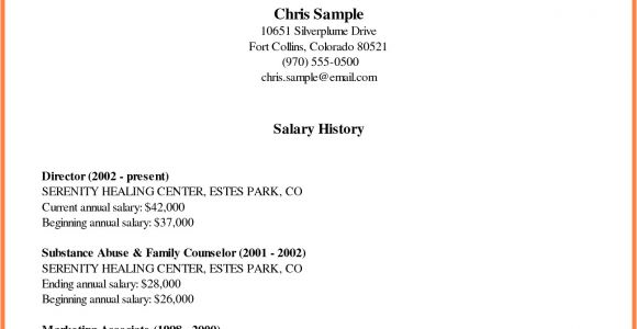 Cover Letter with Salary History and Requirements 5 Cover Letter with Salary History Example Salary Slip