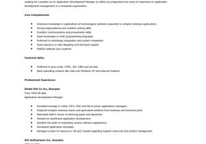 Create Professional Resume How to Create A Professional Resume