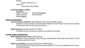 Create Professional Resume How to Create A Professional Resume