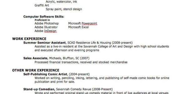 Create Professional Resume How to Create A Professional Resume