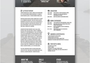 Creative Free Resume Templates Creative Resume Template 79 Free Samples Examples