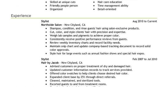Creative Hair Stylist Resume Templates Free Download Creative Hair Stylist Resume Templates