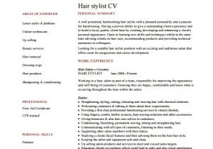 Creative Hair Stylist Resume Templates Hair Stylist Resume Template 9 Free Word Excel Pdf