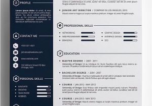 Creative Professional Resume 10 Best Free Resume Cv Templates In Ai Indesign Word