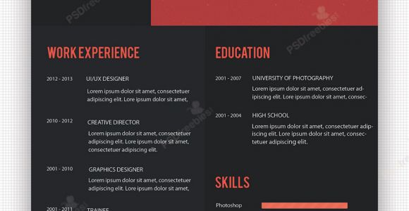 Creative Professional Resume Creative Professional Resume Template Free Psd