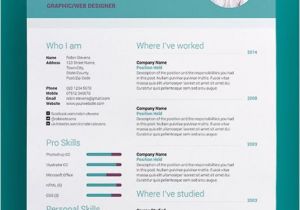 Creative Professional Resume Templates Creative Resume Templates