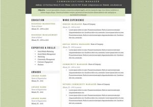 Creative Professional Resume Templates Professional Resume Template Pkg Resume Templates On
