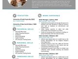 Creative Resume Templates Word the Megan Resume Professional Word Template