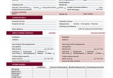 Credit Union Business Plan Template 44 Basic Application forms Free Premium Templates