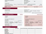 Credit Union Business Plan Template 44 Basic Application forms Free Premium Templates